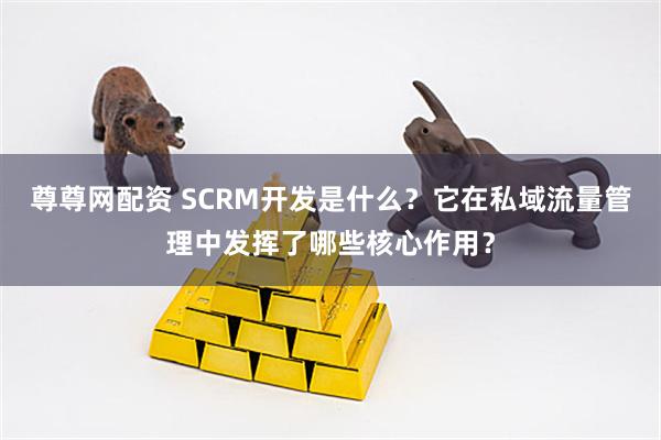尊尊网配资 SCRM开发是什么？它在私域流量管理中发挥了哪些核心作用？