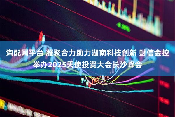 淘配网平台 凝聚合力助力湖南科技创新 财信金控举办2025天使投资大会长沙峰会